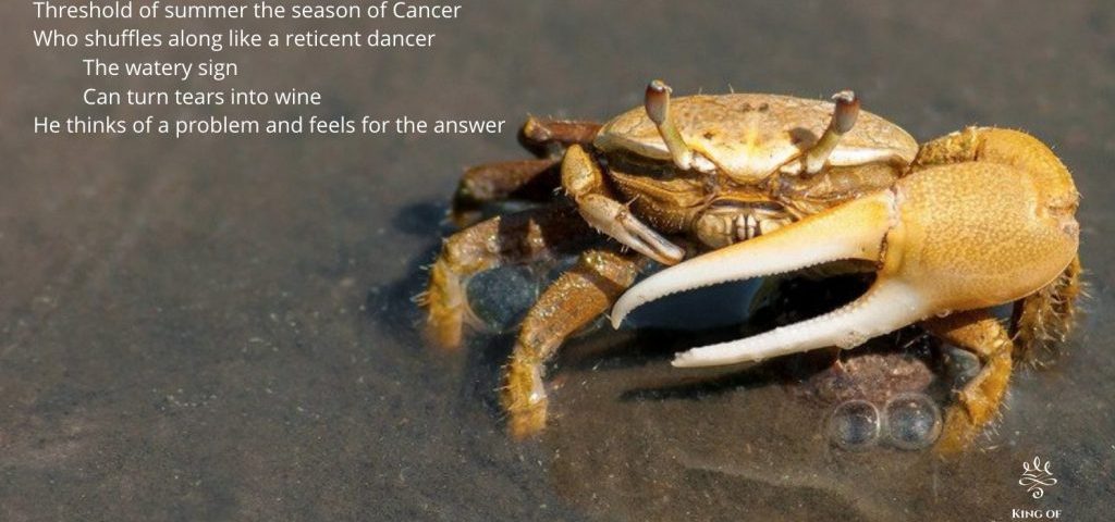 Limericks about Astrology the Crab