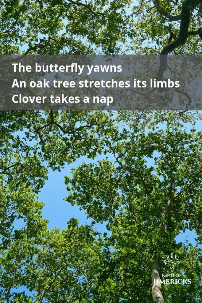 Butterfly haiku pin