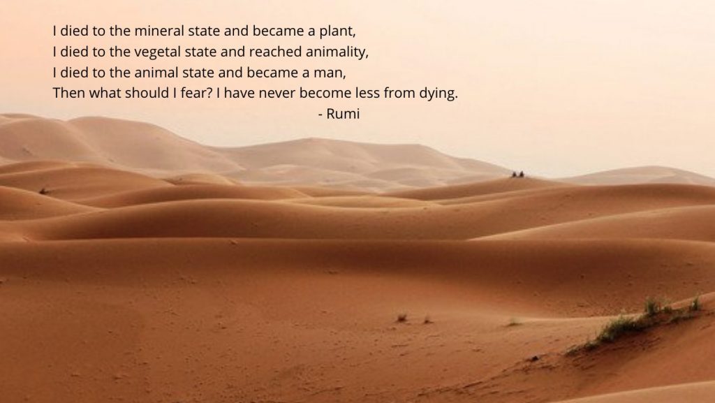 Metaphysical poetry from Rumi