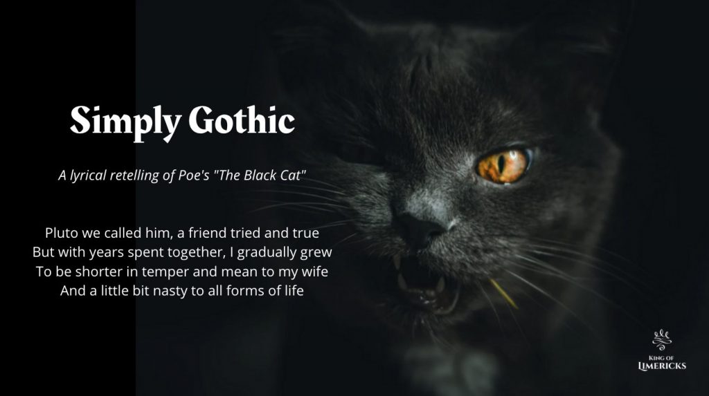 essay on the black cat