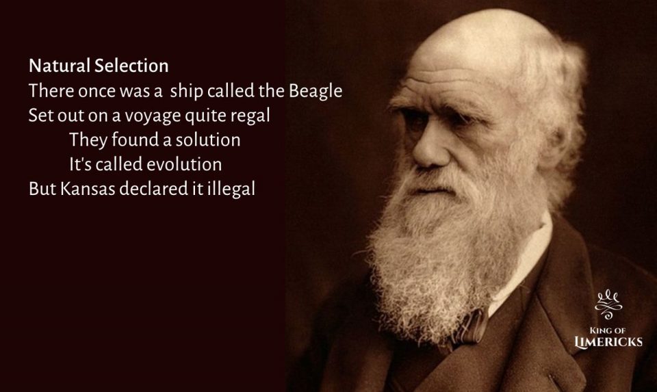 Limerick about Darwin evolution