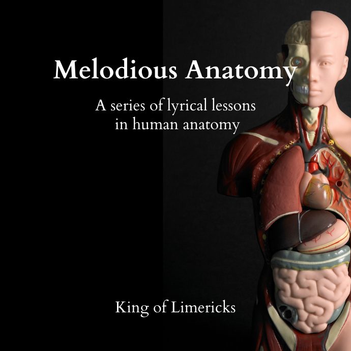 Anatomy cover