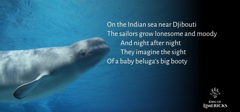 Limerick about Baby Beluga