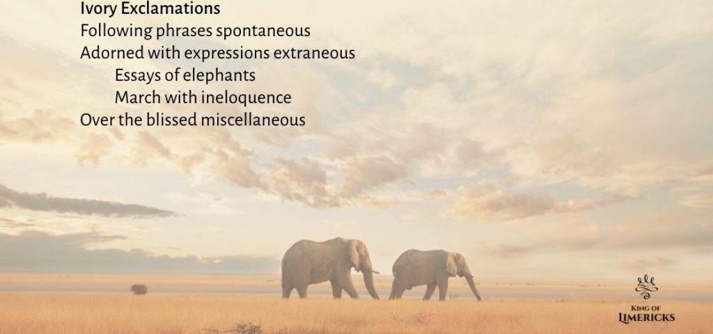 Limericks and Elephants   