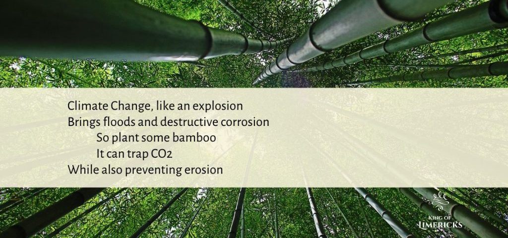 Limerick Bamboo Climate Change