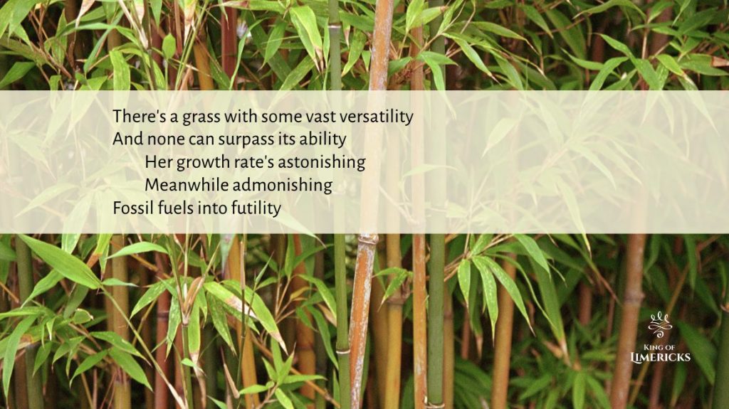 Limerick about Bamboo and Climate Change