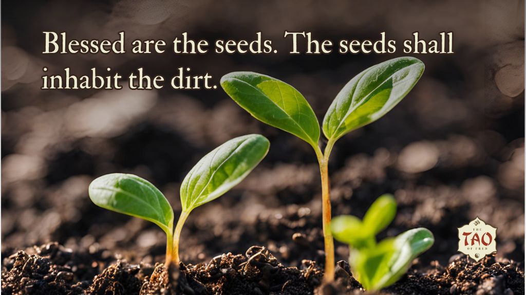 Blessed are the seeds